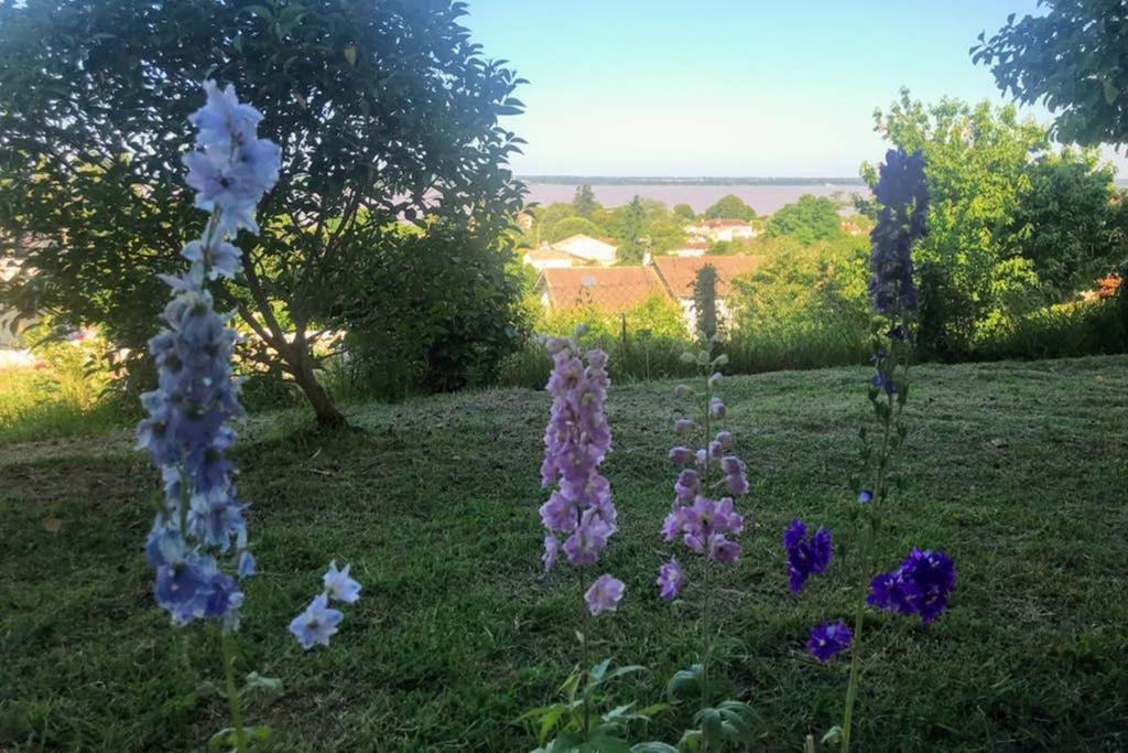 Appartement Avec Vue Panoramique Sur L'Estuaire De La Gironde Plassac  ภายนอก รูปภาพ