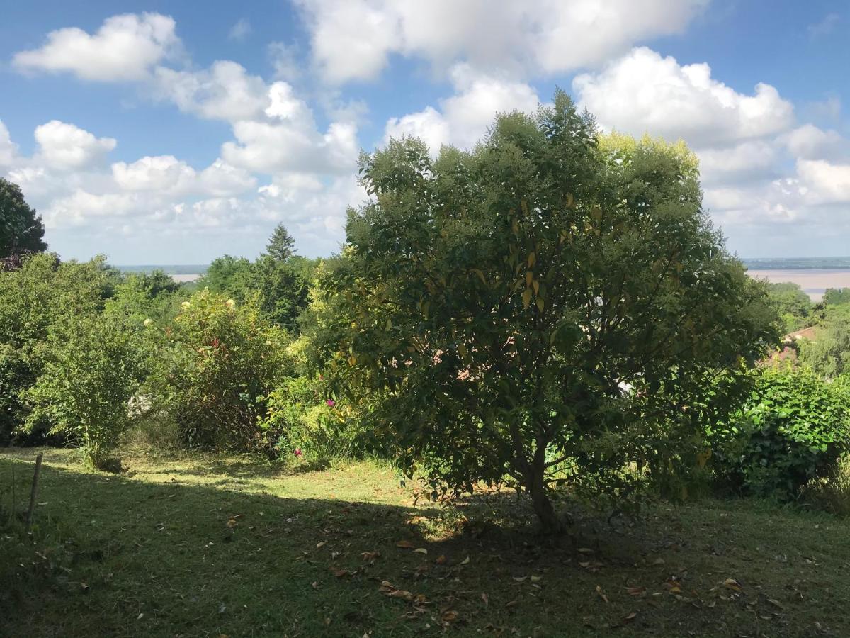 Appartement Avec Vue Panoramique Sur L'Estuaire De La Gironde Plassac  ภายนอก รูปภาพ